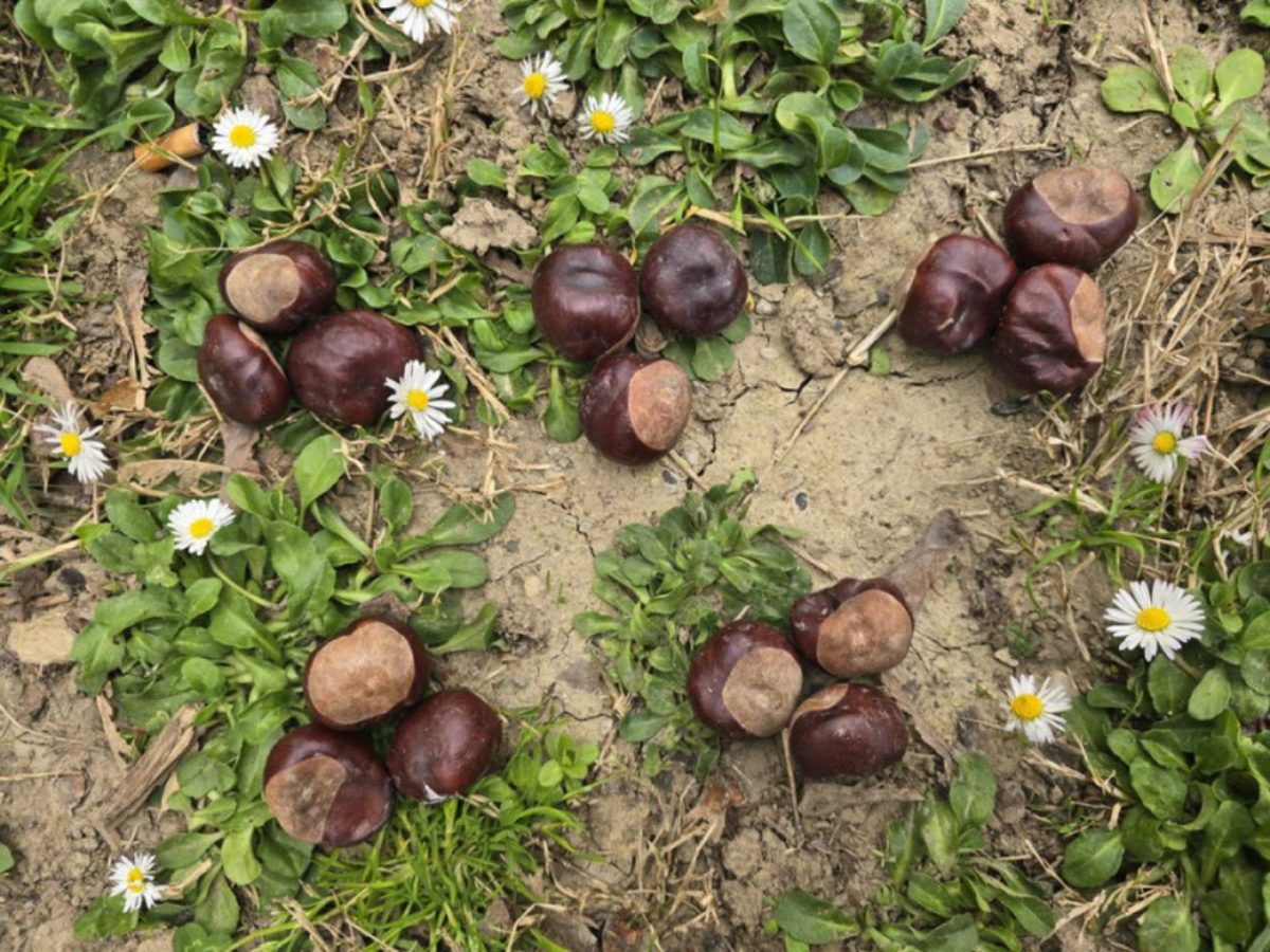 mnozenje-kroz-igru-kako-djeca-najlakse-uce-tablicu-mnozenja1