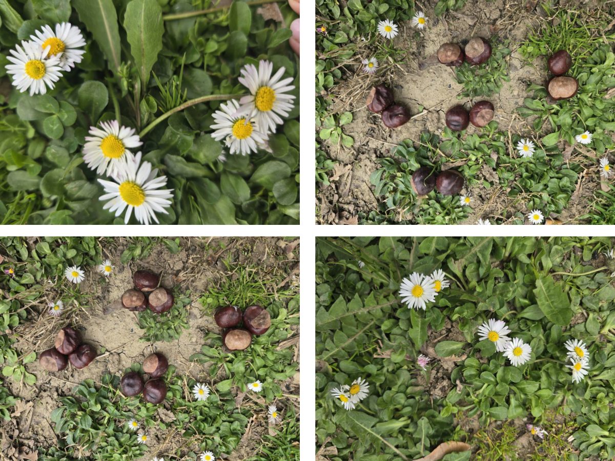 mnozenje-kroz-igru-kako-djeca-najlakse-uce-tablicu-mnozenja3